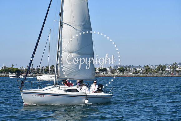 DSC_1481 (1)