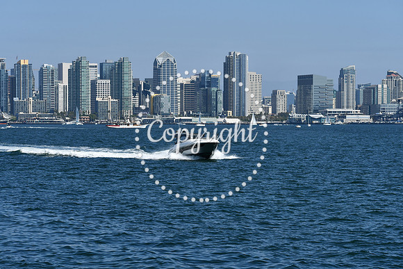 DSC_0610 (1)