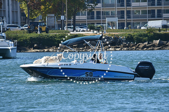 DSC_1510 (1)