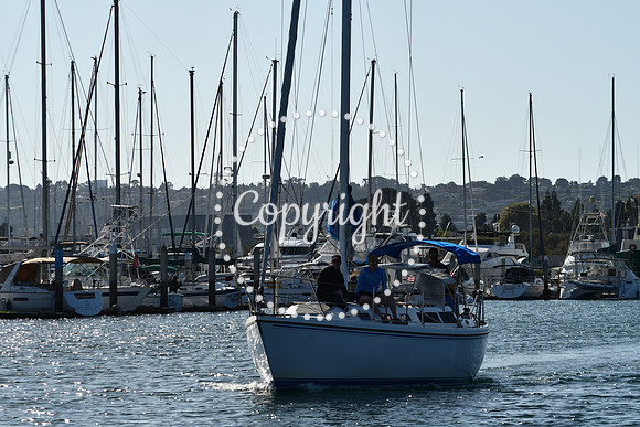 DSC_2172 (1)