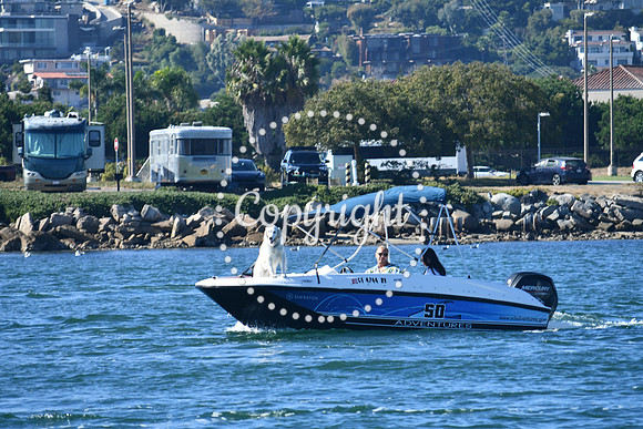 DSC_1506 (1)
