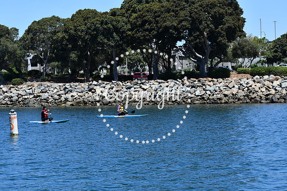 DSC_0021 (1)