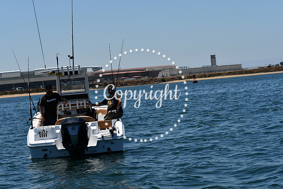DSC_0139 (1)