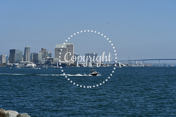 DSC_0564 (1)