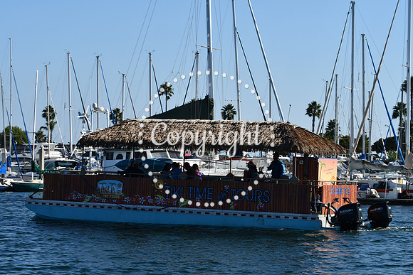 DSC_2167 (1)