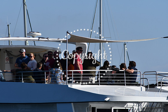 DSC_2157 (1)