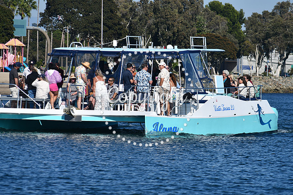 DSC_1524 (1)