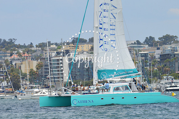 DSC_0093 - Copy