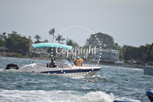 DSC_0186 - Copy