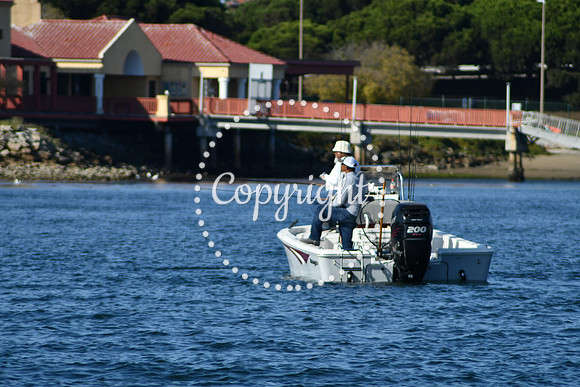 DSC_2247 (1)