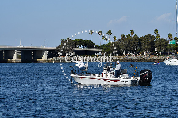 DSC_2249 (1)