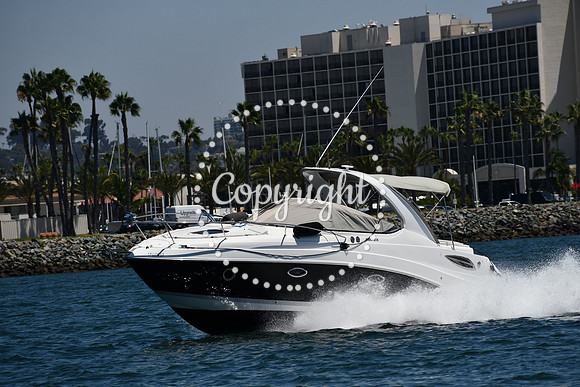 DSC_0186 (1)