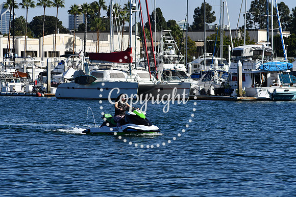 DSC_2103 (1)