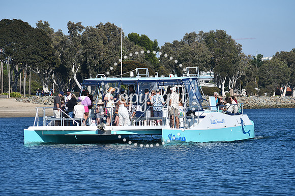 DSC_1523 (1)