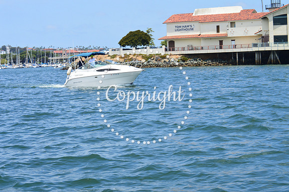 DSC_0042 - Copy