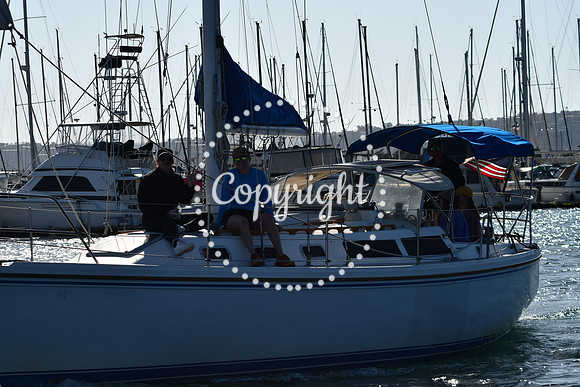 DSC_2175 (1)