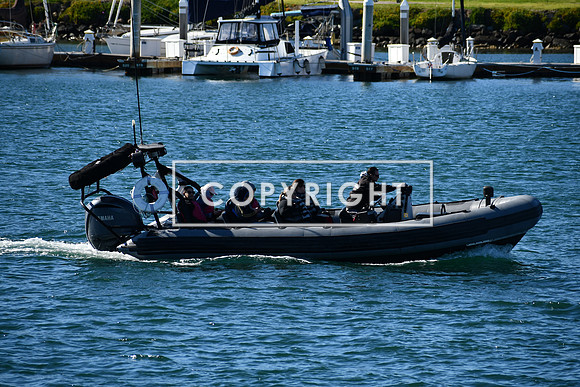DSC_2996