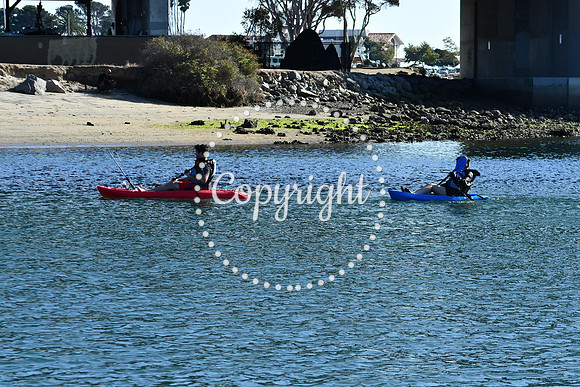 DSC_2213 (1)