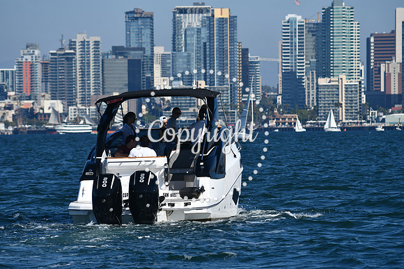 DSC_1479 (1)