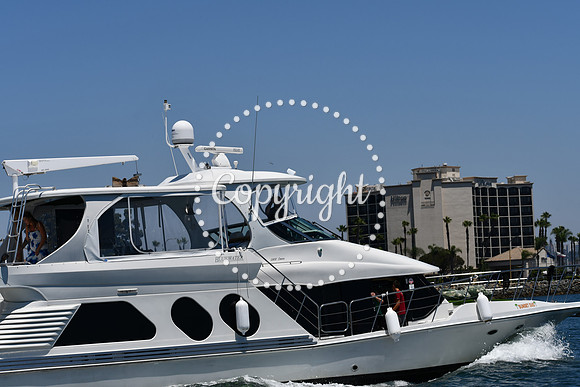 DSC_0262 (1)