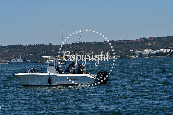 DSC_0150 (1)