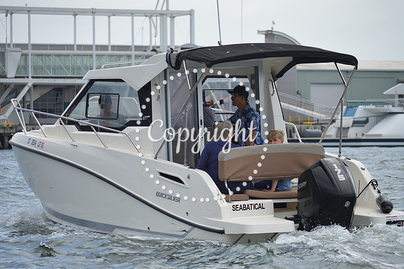 DSC_0247 - Copy