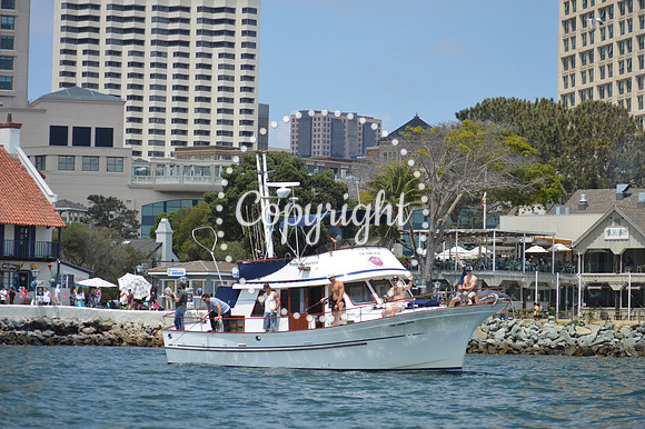 DSC_0154 - Copy