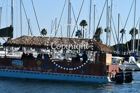 DSC_2166 (1)