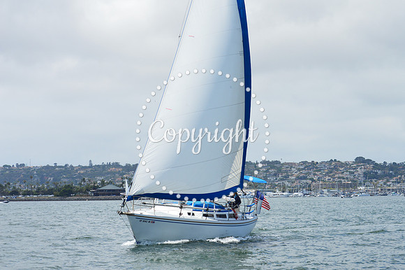 DSC_0049 - Copy