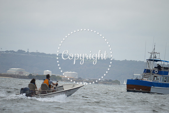 DSC_0281 - Copy