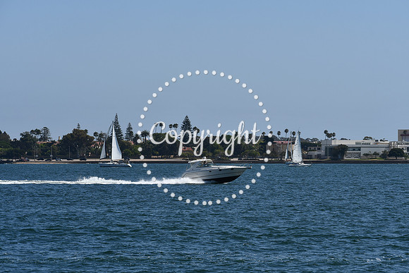 DSC_0589 (1)