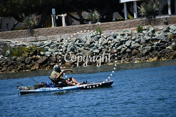 DSC_0069 (1)