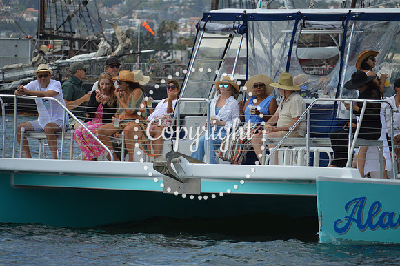 DSC_0231 - Copy