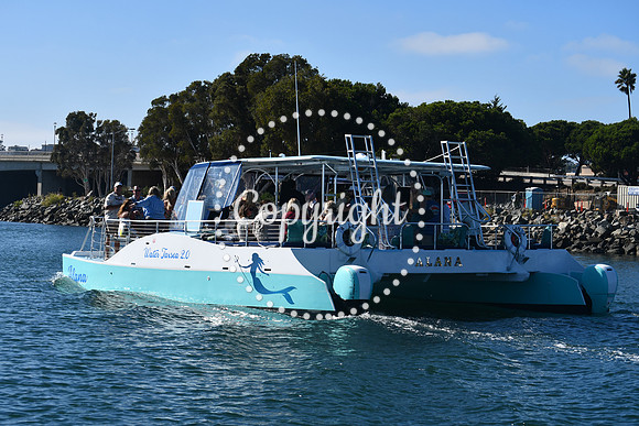 DSC_1534 (1)