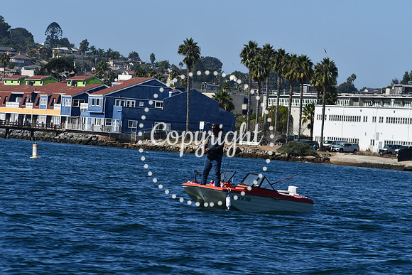 DSC_1908 (1)