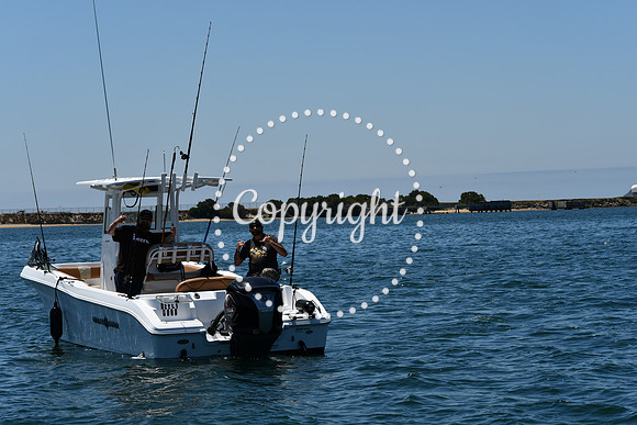 DSC_0142 (1)