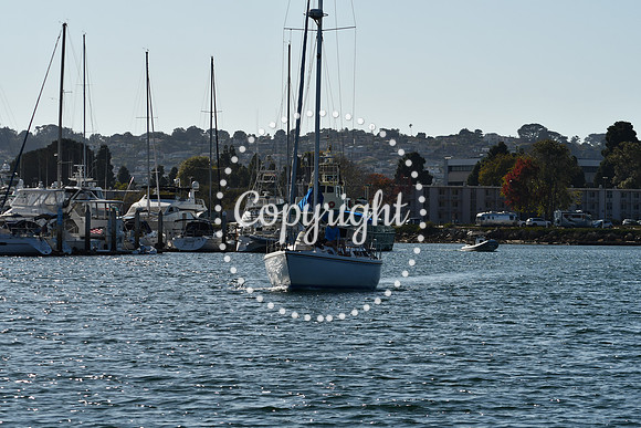 DSC_2169 (1)