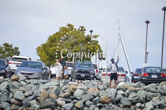 DSC_0266 - Copy