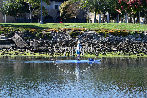 DSC_2194 (1)