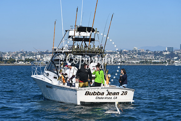 DSC_1499 (1)