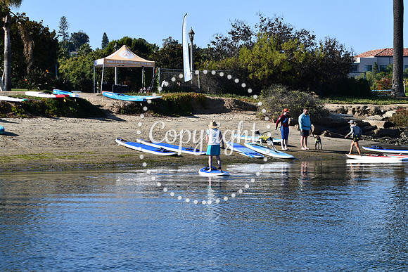 DSC_2203 (1)