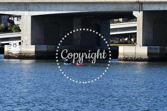 DSC_2186 (1)