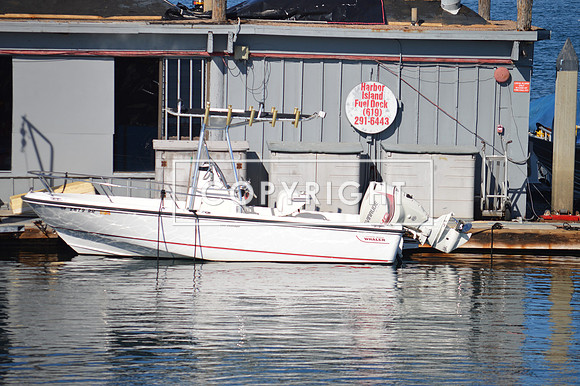 DSC_0002 (1)