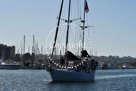 DSC_2088 (1)