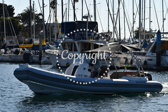 DSC_2183 (1)