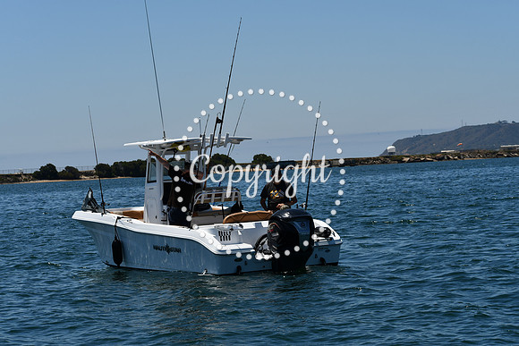 DSC_0144 (1)