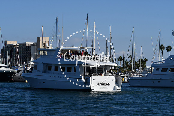 DSC_2158 (1)