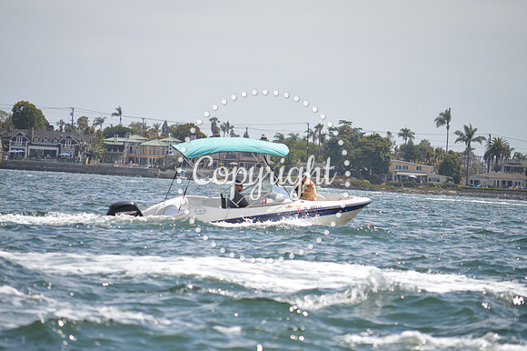 DSC_0185 - Copy