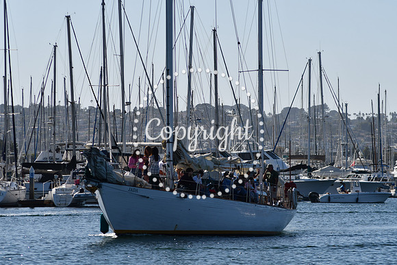 DSC_2062 (1)