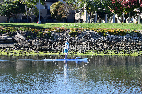DSC_2193 (1)